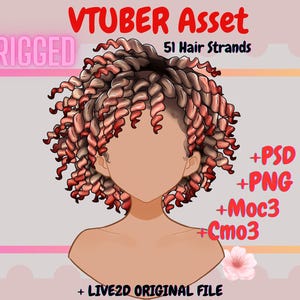 Rigged Vtuber Asset -  Tight Curly Hair| live2d asset| Transparent Background PNG File, Vtuber png asset, Kawaii , Psd, moc3, cmo3, pngtuber