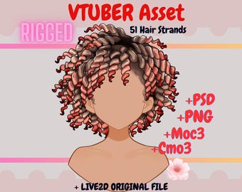 Opgetuigd krullend haar Vtuber-item: Live2D, VTube Studio Ready (PSD,MOC3,CMO3)