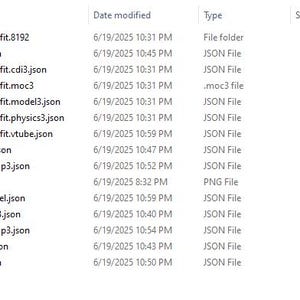 May include: A screenshot of a file directory with various file types, including JSON files, a PNG file, and a file folder. The file names suggest content related to a leather jacket outfit and toggles.