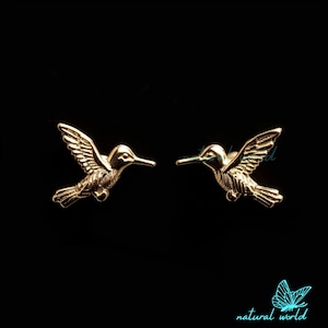 14k Gold Kolibri Ohrstecker, Kolibri Ohrstecker, Gold Kolibri Ohrstecker, kleine Gold Kolibri Ohrstecker