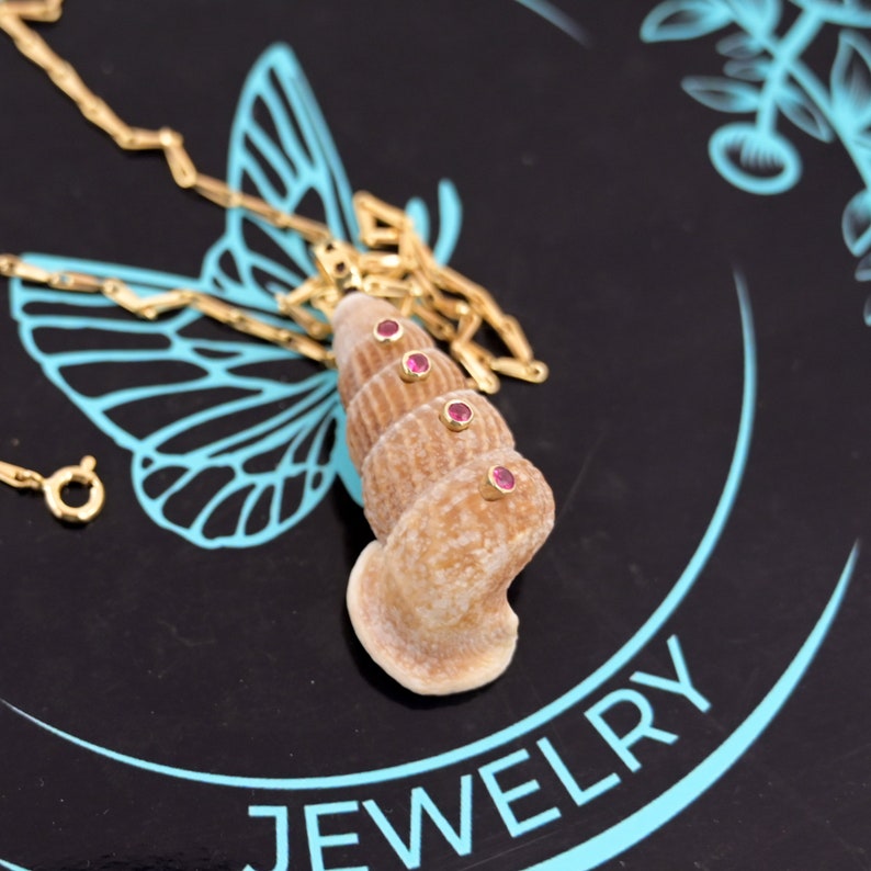 Dainty Shell Pendant Necklace, Multi Gemstone Shell Pendant, New ...