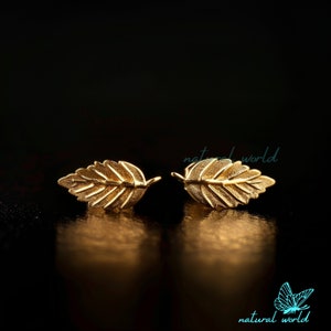 14K Solid Gold Olive Leaf Studs Earrings, Branch Cartilage Studs Earrings, Tiny Leaves Helix Studs Earring, Gold Leaf Branch Studs Earring