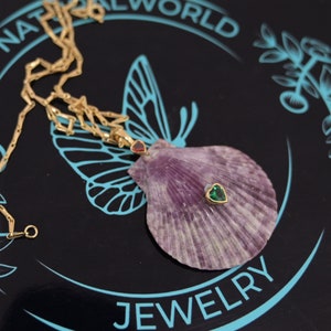 Natural Scallop Seashell Pendant, Colorful Scallop Shell Pendant, Mauve Scallop Seashell Pendant, All Natural Seashell Jewelry, ShellPendant