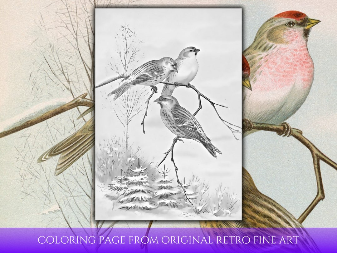 Greyscale Coloring Page From Original - Il 1080xN.5576998990 Qola 