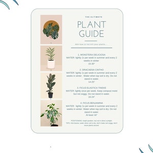 House Plant Care Guide - downloadable and printable