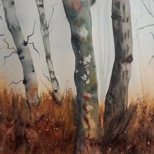 Bosco di betulle al tramonto. Acquerello originale (non è una stampa) realizzato con materiali di alta qualità