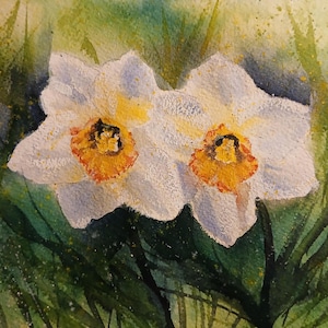 Narcisi, primavera. Acquerello dipinto a mano (non è una stampa)