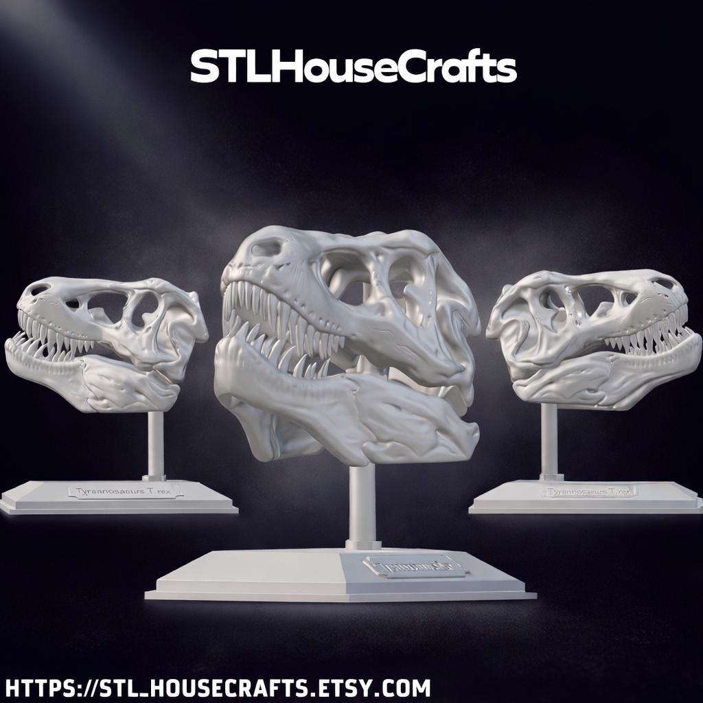Fossile Biface De Bébé T-Rex Tyrannosaire, Réplique D'os - Noir