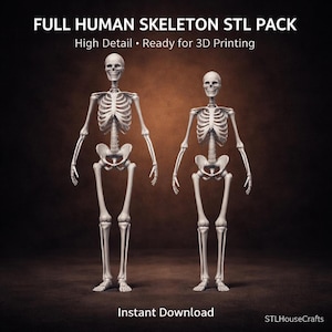 May include: Two white human skeleton models are displayed against a brown background. The text at the top reads "FULL HUMAN SKELETON STL PACK" and "High Detail • Ready for 3D Printing." The bottom text says "Instant Download."