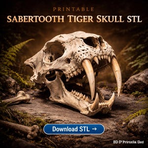 Sabertooth Tiger Skull STL | Smilodon Fossil Replica 3D Print Model (Digital Download)