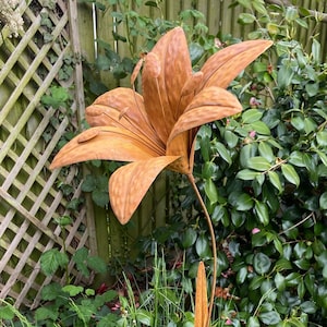 May include: A rusty metal sculpture of a lily flower with a long stem. The sculpture is standing in a garden setting with green grass and foliage.