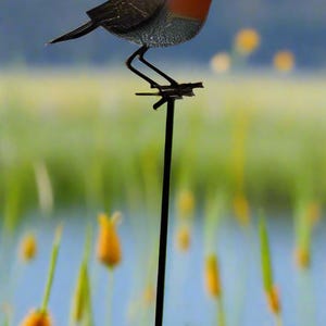 May include: A black metal garden stake with a small, grey and red robin bird figurine perched on top. The bird has a red breast and a black head. The background is a blurry image of a pond and green grass.