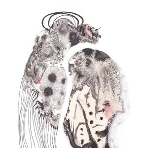 Moth, Originalgemälde  handsigniert. Aquarellfarben/Pigmented Ink auf Aquarell-Papier,  oder als Druck in limitierter Auflage A4 oder A3