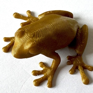 3D frog | tree frog | Frog | gold colored