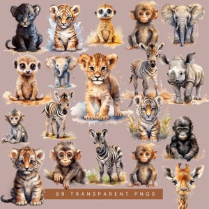 Watercolor Safari Animals Clipart Bundle, Baby Animals for Nursery ...