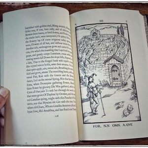 K&ouml;nnte beinhalten: Eine Schwarzwei&szlig;illustration eines Labyrinths mit einem Narren, der davor steht. Der Narr h&auml;lt einen Stab und es liegen drei W&uuml;rfel auf dem Boden. Der Text "FOR. N.N OMN. A.QVE" ist unter der Illustration gedruckt.