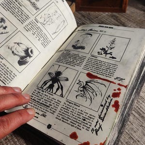 Op de afbeelding: Een vintage boek met illustraties en beschrijvingen van magische ingredi&euml;nten, waaronder Doxy-eieren & gif, drakenbloed en Dimany. Het boek heeft handgeschreven notities en rode vlekken op de pagina's.