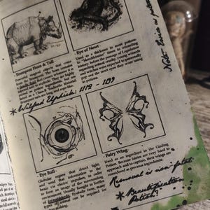 Op de afbeelding: Een pagina uit een boek over het maken van drankjes. De pagina bevat illustraties van ingredi&euml;nten, waaronder een erumpent-hoorn, een salamanderoog, een fee&euml;nvleugel en een oogbol. De tekst beschrijft de ingredi&euml;nten en hun gebruik in drankjes.