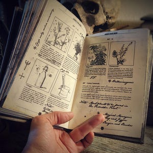 Geavanceerde Toverdranken maken - Severus Snape (Severus Piton) - Harry Potter - Het complete boek met toegevoegd kruidenboek en bestiarium afbeelding 7