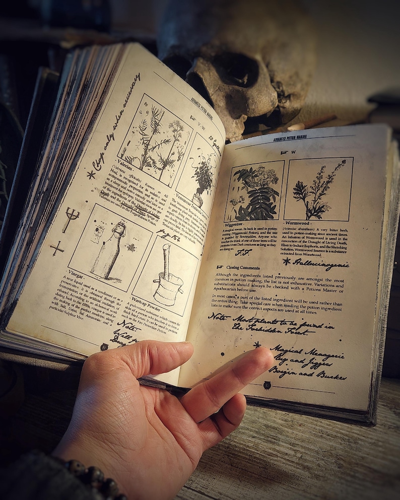 Geavanceerde Toverdranken maken - Severus Snape (Severus Piton) - Harry Potter - Het complete boek met toegevoegd kruidenboek en bestiarium afbeelding 7