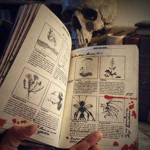 Op de afbeelding: Een open boek met illustraties van verschillende planten en wezens, waaronder een krokodilhart, een paardenbloemwortel, een groene knolamaniet, dille, een dexy-ei en gif, en drakenbloed. Het boek heeft een versleten, verouderde uitstraling en is getiteld "Advanced Potion Making".