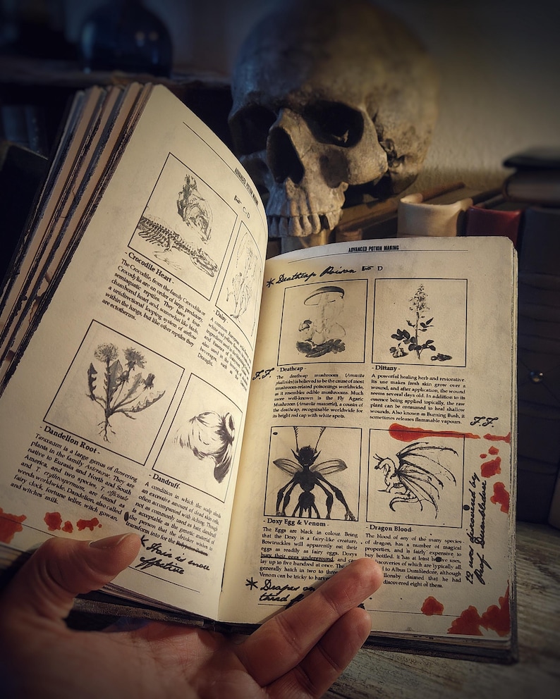 Op de afbeelding: Een open boek met illustraties van verschillende planten en wezens, waaronder een krokodilhart, een paardenbloemwortel, een groene knolamaniet, dille, een dexy-ei en gif, en drakenbloed. Het boek heeft een versleten, verouderde uitstraling en is getiteld "Advanced Potion Making".