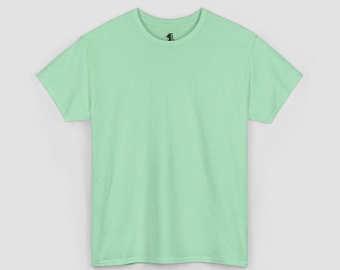 SCH-W318 | Mint Green Casual Tee