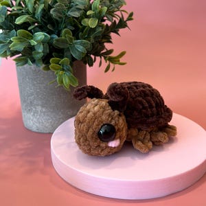 May include: A handmade crochet turtle in shades of brown and tan, with large black eyes and a pink tongue. The turtle is placed on a pink circular platform, with a small potted plant in the background.