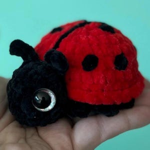 May include: A handmade crochet ladybug with a red body, black spots, and a black head. The ladybug has large, reflective eyes and is held in a person's hand. The craft item is a whimsical, soft toy.