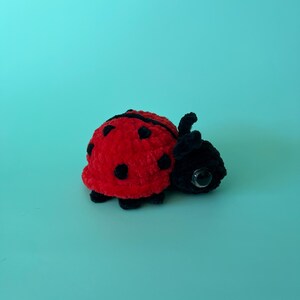 May include: A plush ladybug toy with a red body, black spots, and a black head. The toy has large, round eyes and is set against a solid turquoise background. The ladybug is a soft, handmade item.
