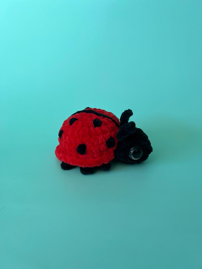 May include: A plush ladybug toy with a red body, black spots, and a black head. The toy has large, round eyes and is set against a solid turquoise background. The ladybug is a soft, handmade item.