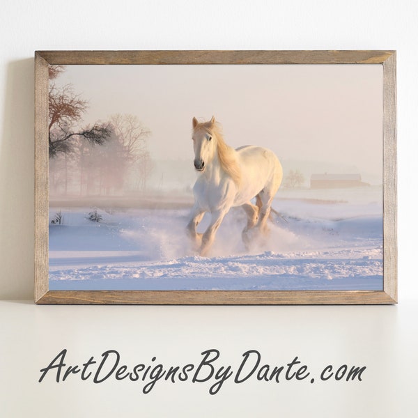 White Horse in Snow Photograph, Winter Photograph, Farm Photograph, Animal Photograph, Digital Download, Digital Wall Art #543