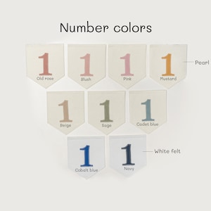 May include: A set of felt number ones in various colors, including old rose, blush, pink, mustard, beige, sage, cadet blue, cobalt blue, and navy. The felt pieces are arranged in rows on a white background.