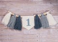Personalized 1st Birthday Highchair Banner, Customized Yarn Tassel Garland, 1 Party Decor, Cake Smash High Chair Banner, Birthday Photo Prop product logo