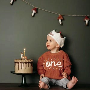One Sprinkle Hand Embroidered Sweater, Custom First Birthday Sweater, Sweet One Sweater, Personalized Boy and Girl 1st Birthday Outfit image 2