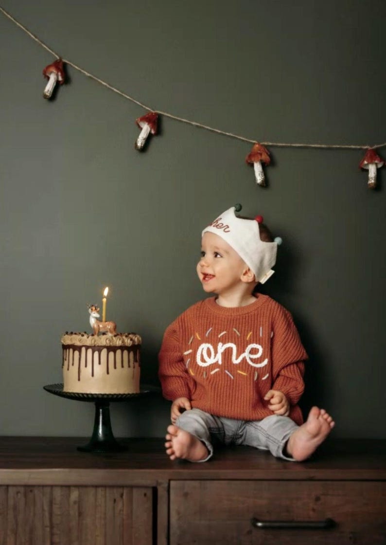 One Sprinkle Hand Embroidered Sweater, Custom First Birthday Sweater, Sweet One Sweater, Personalized Boy and Girl 1st Birthday Outfit image 2