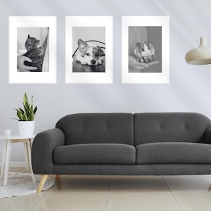 Vet Tech Wall Art BUNDLE of 20 Veterinary Decor Prints Vet Tech Wall Art Animal Clinic Decor Veterinary Digital Print Vet Tech Printable Art