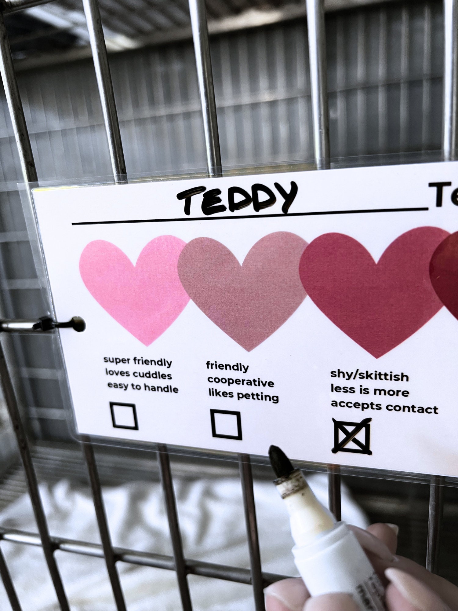 Veterinary Temperament Cage Card Veterinary Clinic Sign Vet Tech Chart ...