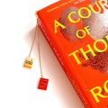 Bookmark - Custom made Book Charm Bookmark product logo