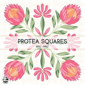 May include: A digital design featuring a symmetrical pattern of pink protea flowers and green leaves. The design is titled "Protea Squares SVG - PNG".