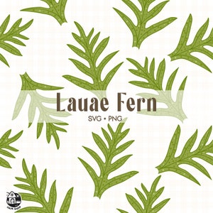 May include: A digital illustration of a green Lauae Fern with a white background. The text "Lauae Fern" and "SVG. PNG" is displayed on the image.