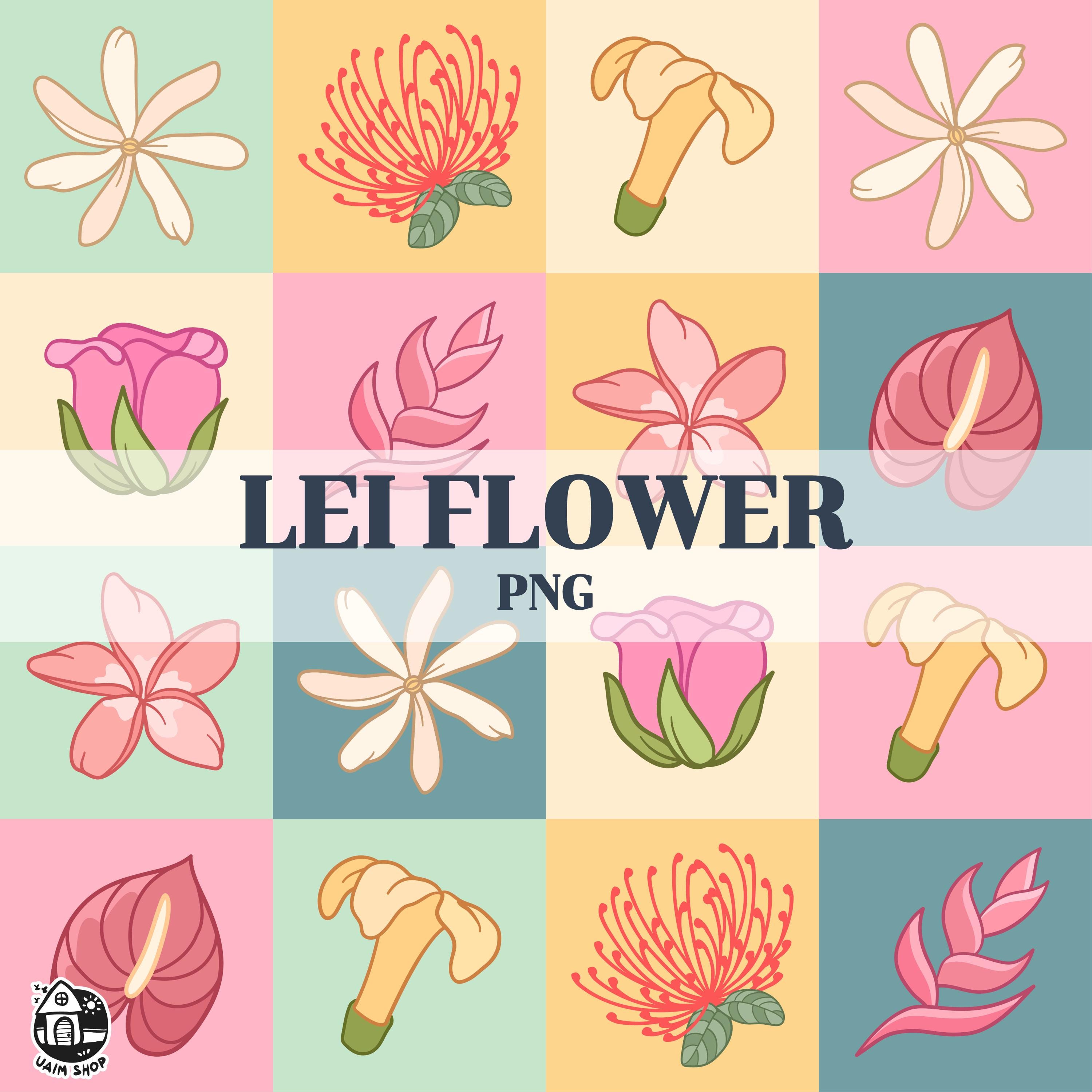 Seamless Pattern Tiare Ohia lehua Puakenikeni Lokelani Heliconia Plumeria Anthurium Flower Square | Digital Download