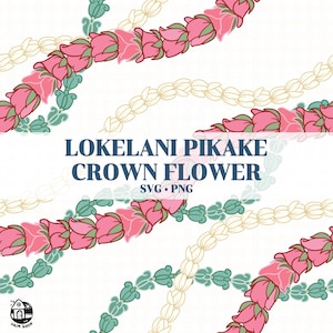 Seamless Pattern Curve Lokelani Pikake Crown Flower Lei | Curve Flower Lei Svg | Twist Lei Png | Lei Digital Download