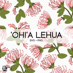 Seamless Pattern Ohia lehua | Floral Png | Svg Cut File | Digital Download
