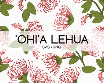 Seamless Pattern Ohia lehua | Floral Png | Svg Cut File | Digital Download