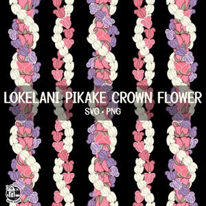 Seamless Pattern Lokelani Pikake And Crown Flower Lei | Twist Flower Lei Svg | Lei Strand Png | Lei Digital Download