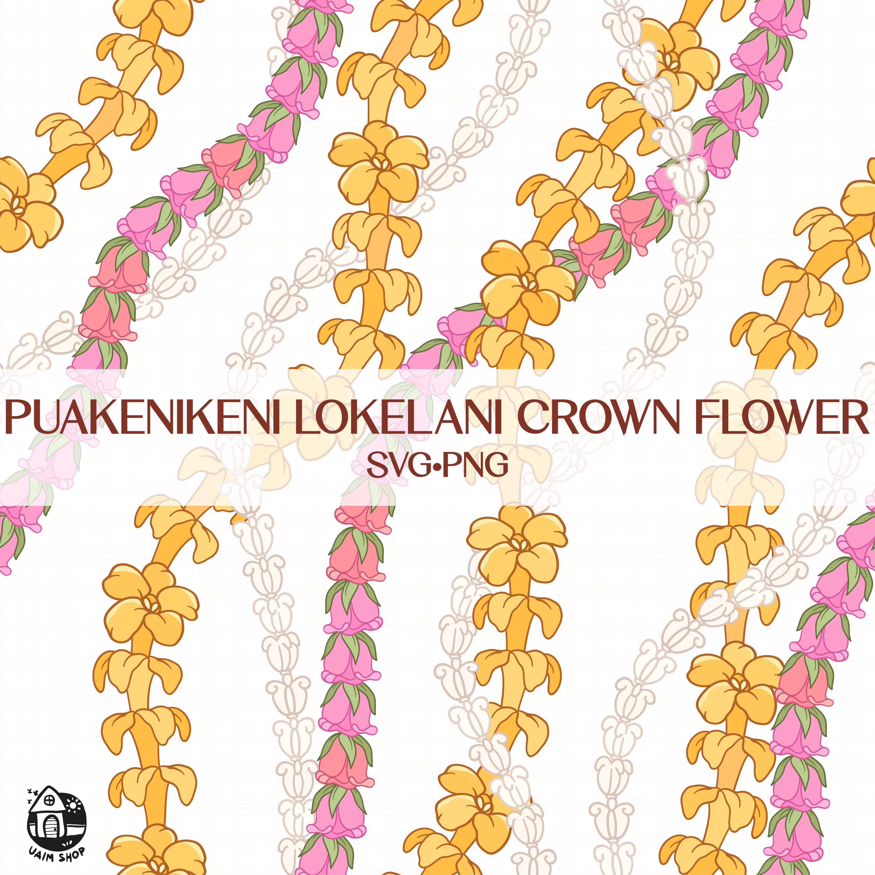 Seamless Pattern Puakenikeni Lokelani Crown Flower Lei | Curve