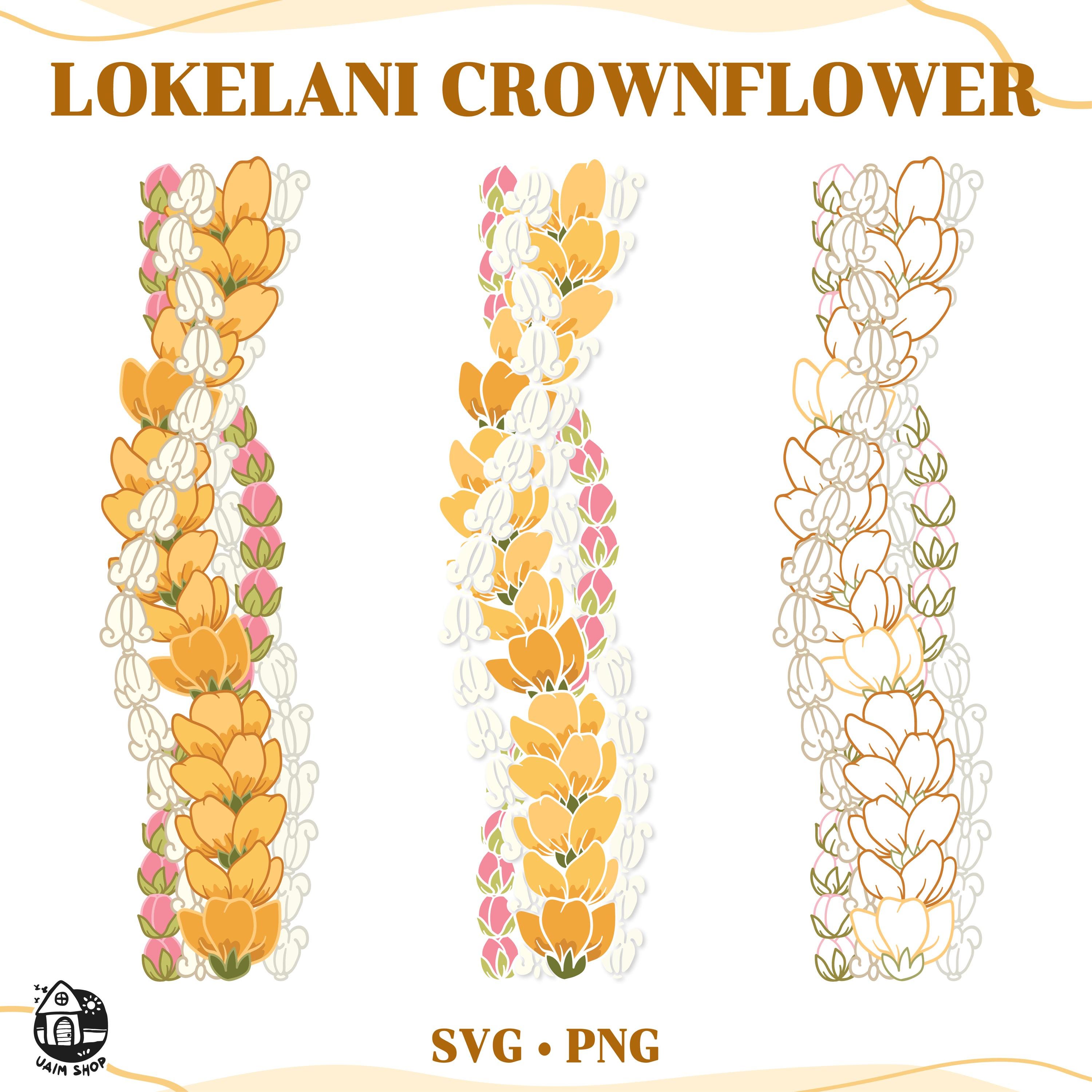 Lokelani Crown Flower and Ilima Lei | Twist Flower | Vertical Svg