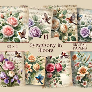 Vintage Birds & Flowers Journal Pages, Bird Ephemera Collage Sheets, Shabby Chic Decoupage, Rose Botanical Scrapbook, Floral Sheet Music