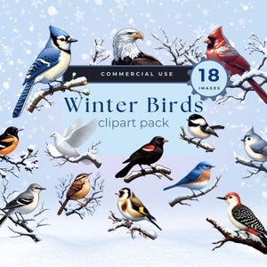 Winter Birds Watercolor Clipart, Clipart Pack, Card Making, Journals, Scrapbooking, Commercial, Sublimation, PNG, Cardinal, Eagle, Blue Jay